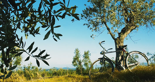 Toskánskem na kole – Chianti